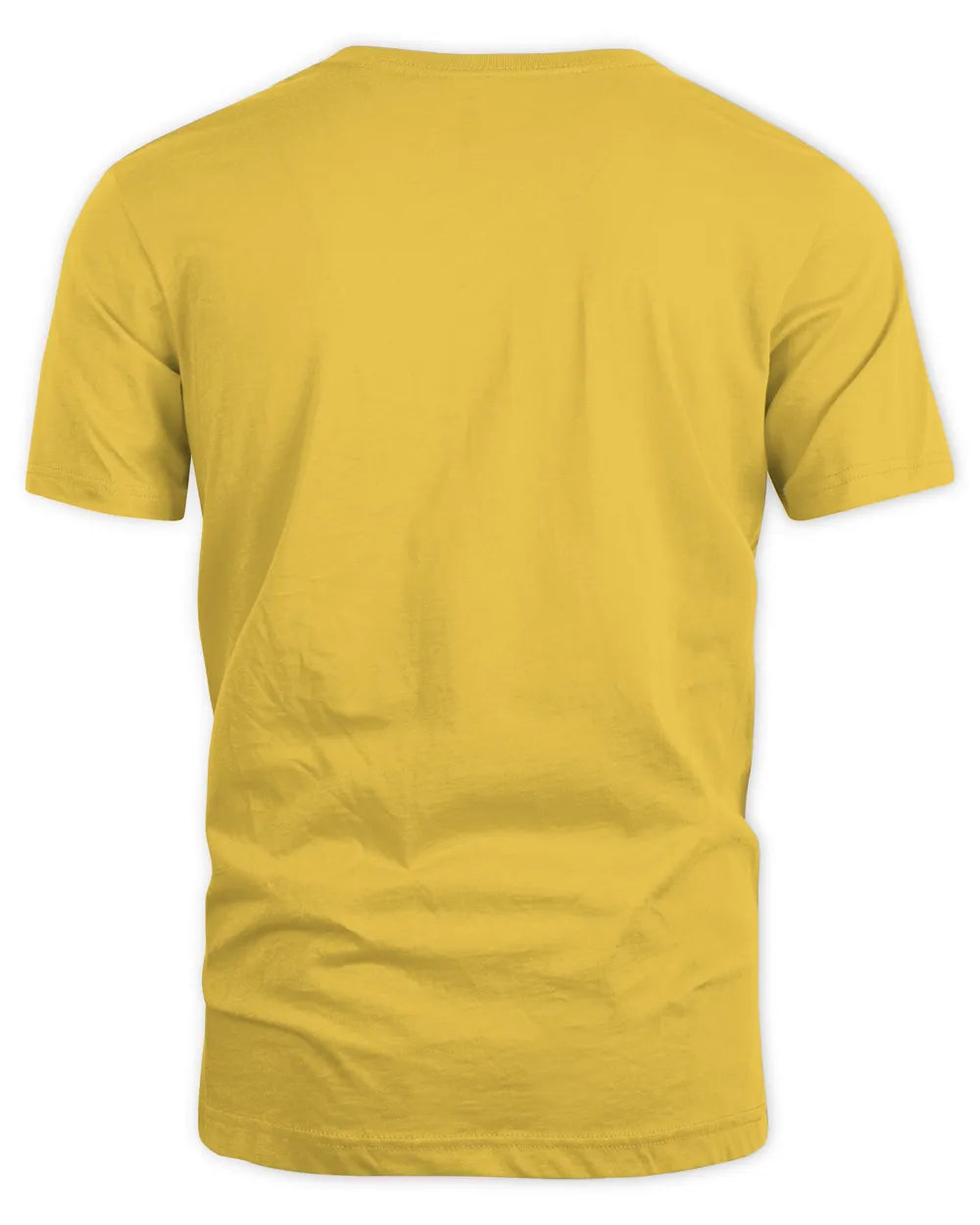 Native American Dancers Shirt | Indigenous Powwow Regalia T-Shirt | Tribal Pride Cultural Graphic Tee | First Nations Heritage Gift - Unisex Standard T-Shirt - daisy - back